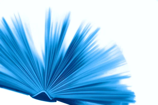 本蓝色的书 免版税图库照片