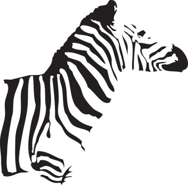 zebra silüeti