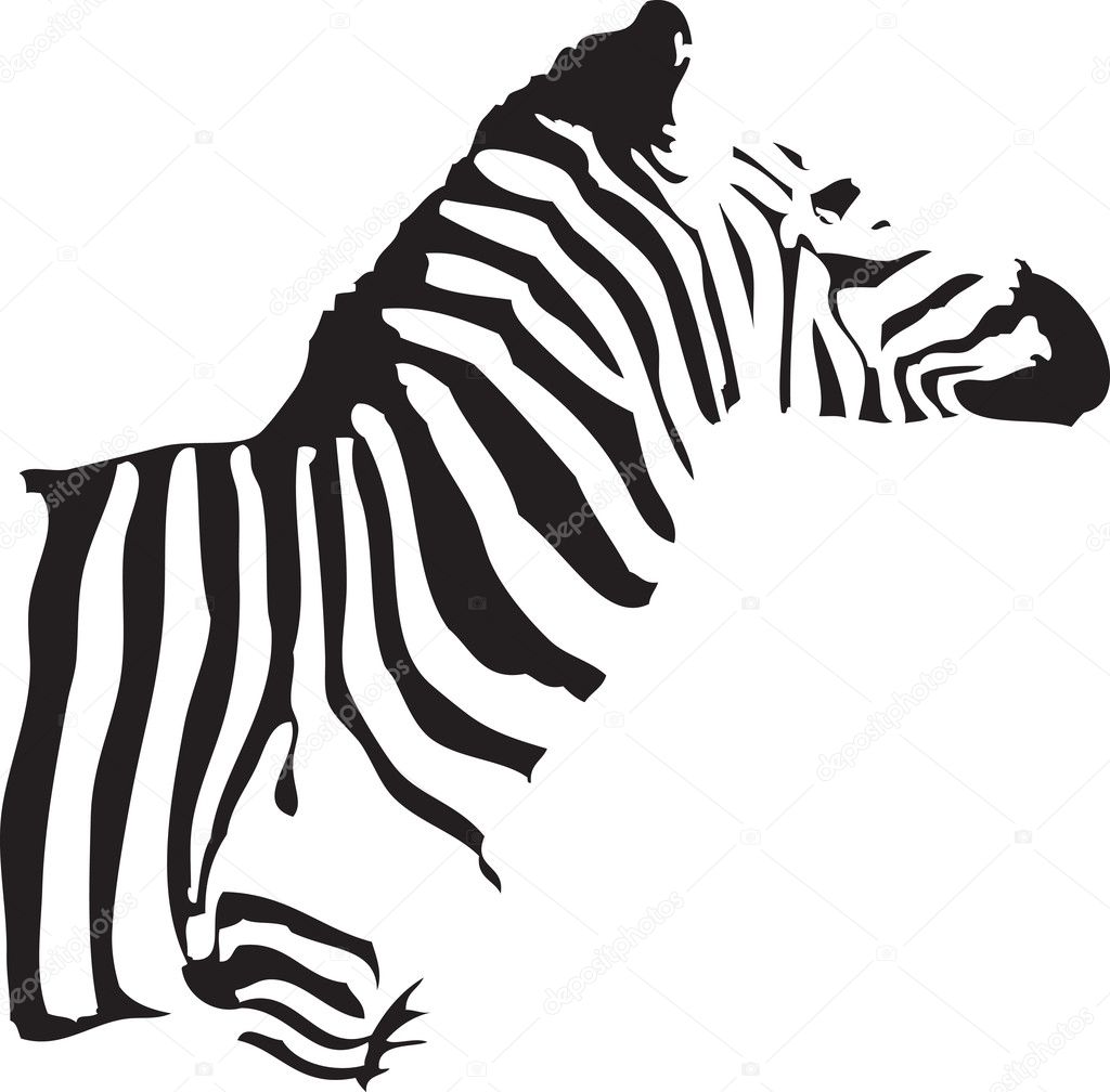 Silhouette of Zebra