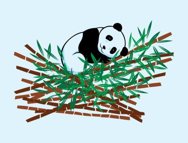 Warm Panda clipart