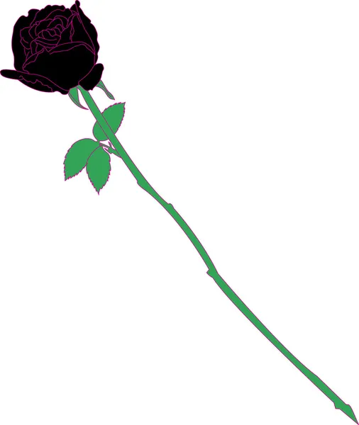Rose noire — Image vectorielle