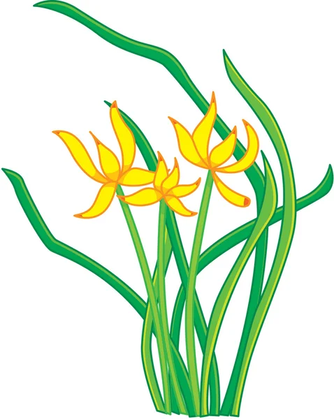Oryantal çiçek — Stok Vektör