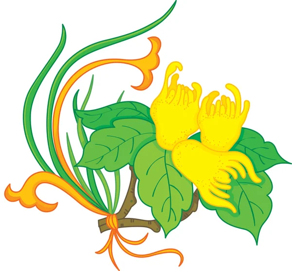 Orientalne owoce i kwiaty — Wektor stockowy