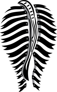 Zebra ass clipart