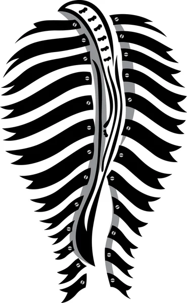 Zebra kont — Stockvector