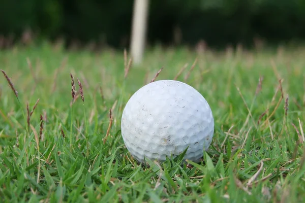 Golf topu, golf — Stok fotoğraf