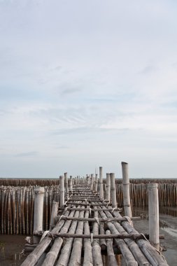 Bambu Köprüsü