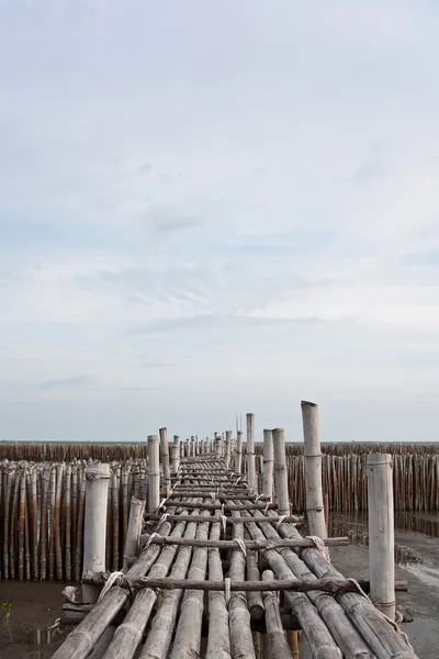 stock image Bamboo bridge