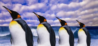 Emperor's four penguins on sea wave background clipart