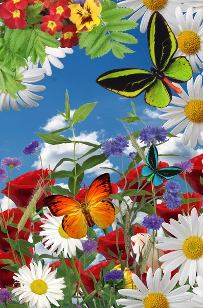 Eine schöne Gartenillustration, Blumen, Schmetterlinge — Stockfoto