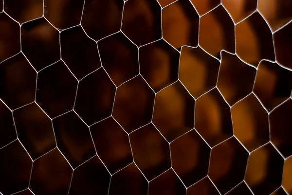 Hexagonal — Fotografia de Stock
