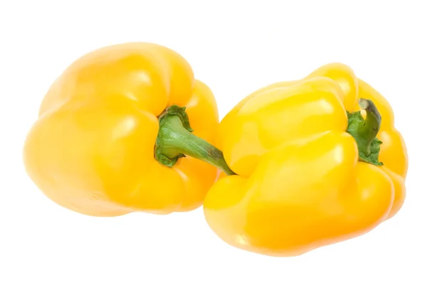 stock image Two pepper