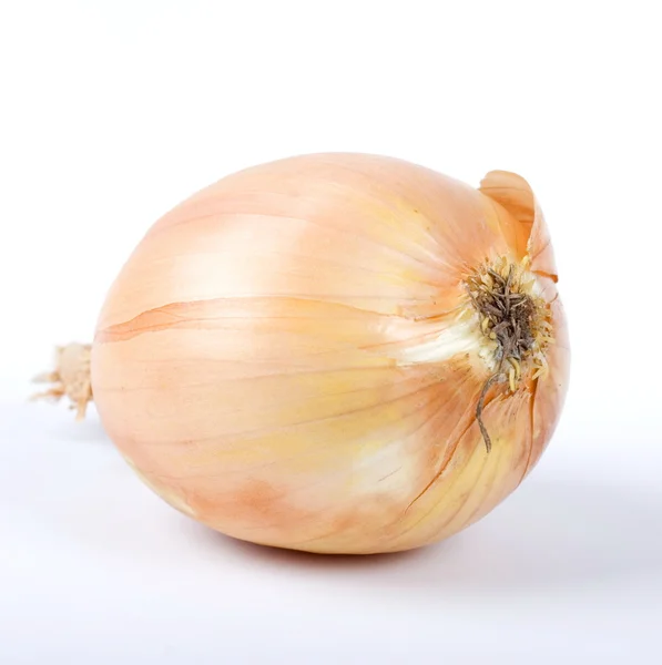 stock image Ripe onion