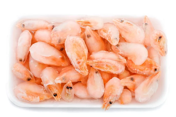 stock image Shrimp