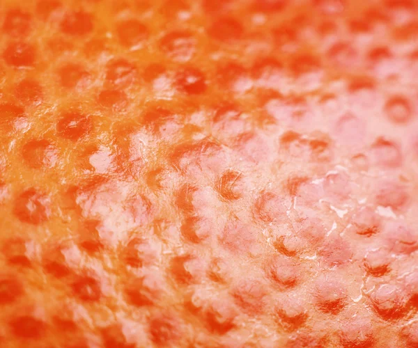 Abstract Close Orange Peel Background — Stock Photo, Image