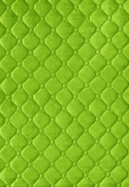 Green picture of genuine leather upholstery clipart