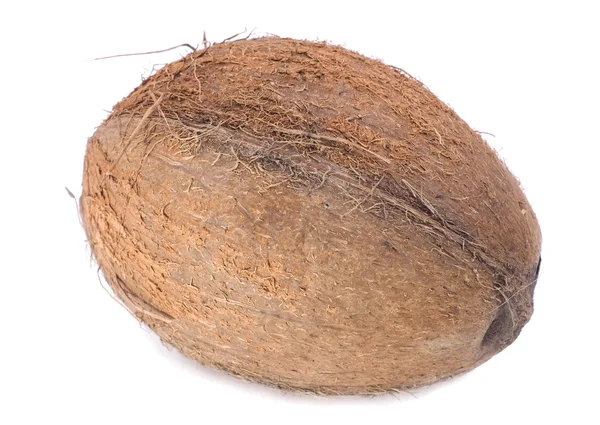 Kokosnöt Isolerad Vit Bakgrund — Stockfoto