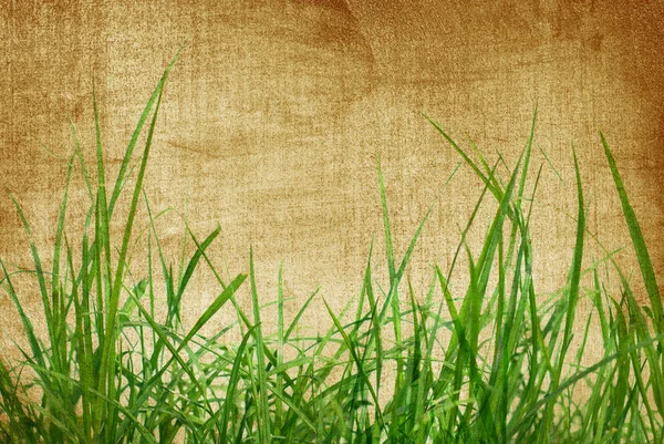 古い紙の上の緑の芝生 — ストック写真