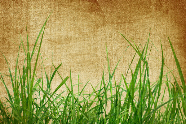 Green Grass on old paper