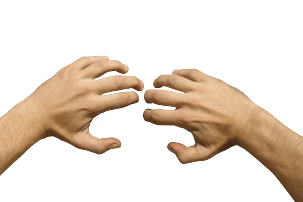Две Руки Изолированный Белый Фон — стоковое фото
