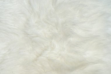Closeup of white fur coat clipart