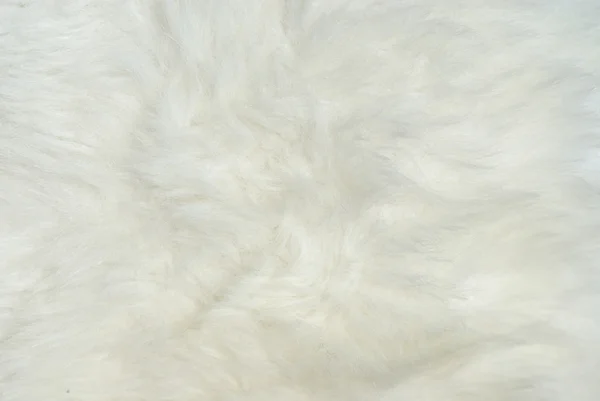 Gros plan de manteau de fourrure blanche — Photo