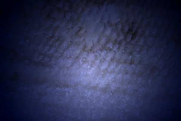Textur Fischhaut aus Nahaufnahme — Stockfoto