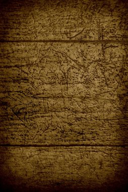 Grunge timber wall texture, eating bark beetle clipart