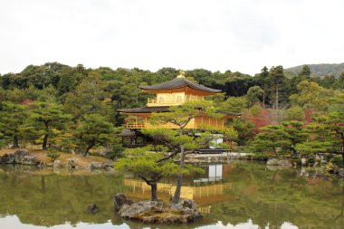 Altın tapınak kinkau-ji Kyoto, Japonya.