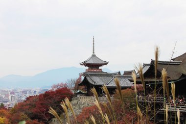 Tokyo 'daki Asakusa tapınağı