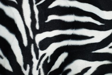 Texture - a fluffy skin of a zebra clipart