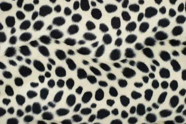 Texture - een pluizig, vlekkerige huid dalmatin — Stockfoto