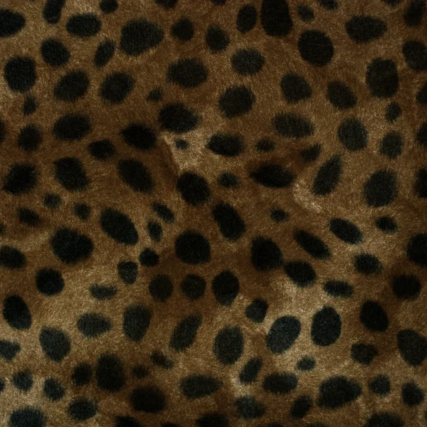 Fourrure de léopard — Photo