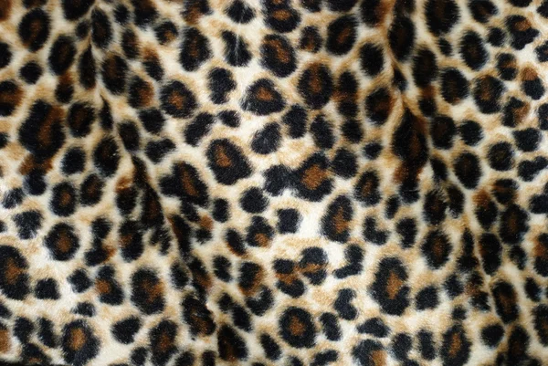 Leopard γούνα — Φωτογραφία Αρχείου