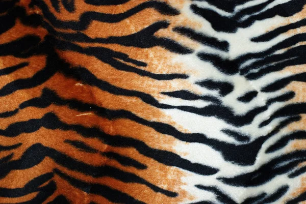 虎の毛皮 — ストック写真