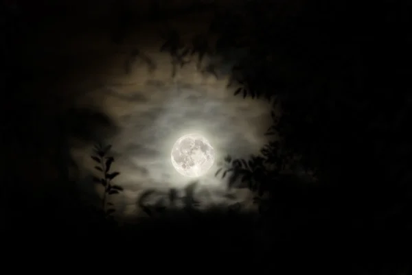 밤 하늘에 큰 달 — 스톡 사진