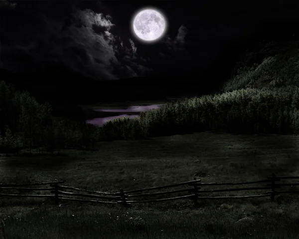 Moon in field — Stock Photo, Image