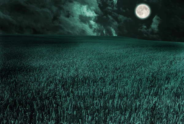 Moon in field — Stock Photo, Image