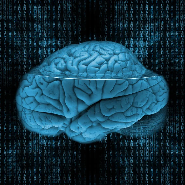 Cérebro digital — Fotografia de Stock