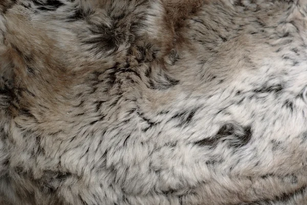 Rabbit fur — Stock Photo, Image