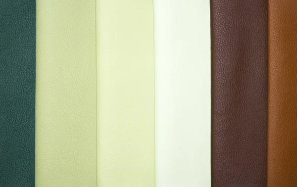 Decorative and fashion leather skin color chart — Stock Photo, Image
