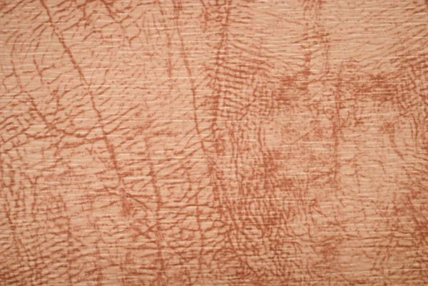 Tekstury skóry naturalnej beżowy jakościowych. z bliska. — Zdjęcie stockowe
