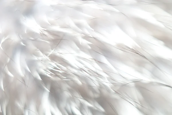 Imagen de fondo blanco abstracto con textura interesante que es muy útil — Foto de Stock