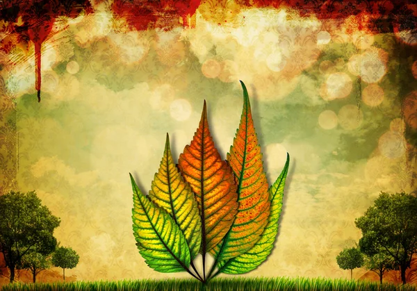 Piękna jesień liść tła ilustracji — Zdjęcie stockowe