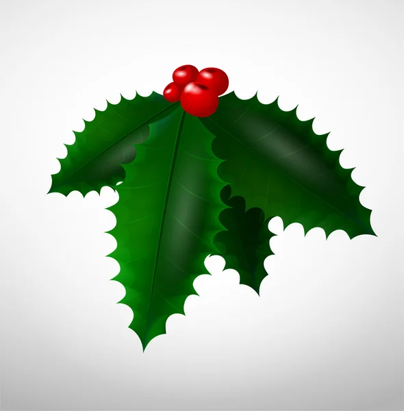 Vector Christmas mistletoe — Stock Vector