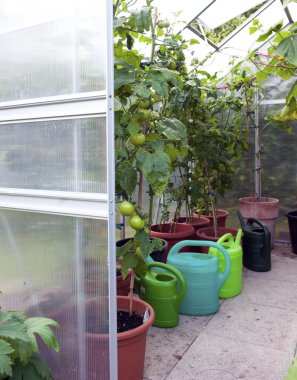 Greenhouse close-up clipart