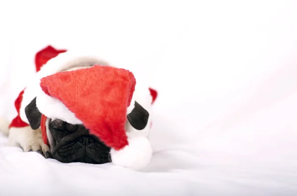 Stanco Babbo Natale cucciolo — Foto Stock