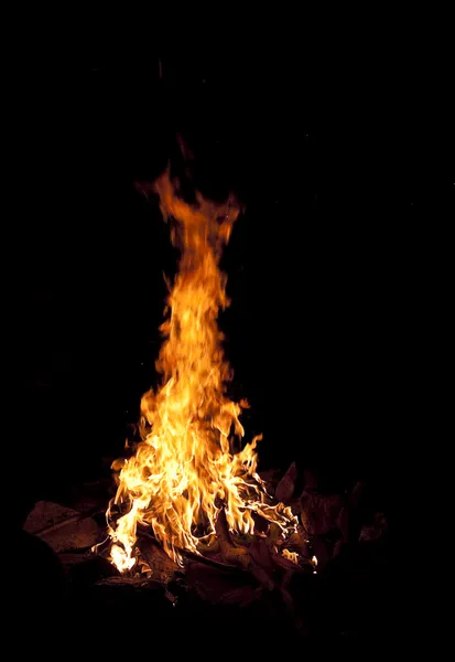 stock image Bonfire by night