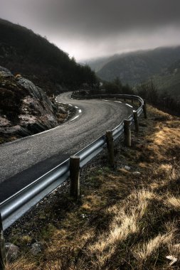 Norveç countryroad
