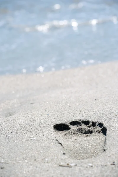 Fußabdruck am Strand — Stockfoto